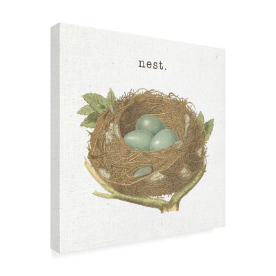 " Spring Nest III Nest " by Moira Hershey