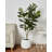 Finstad Handmade Pot Planter-665168239-665168019
