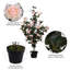 45 po plante artificielle en pot-1635750290