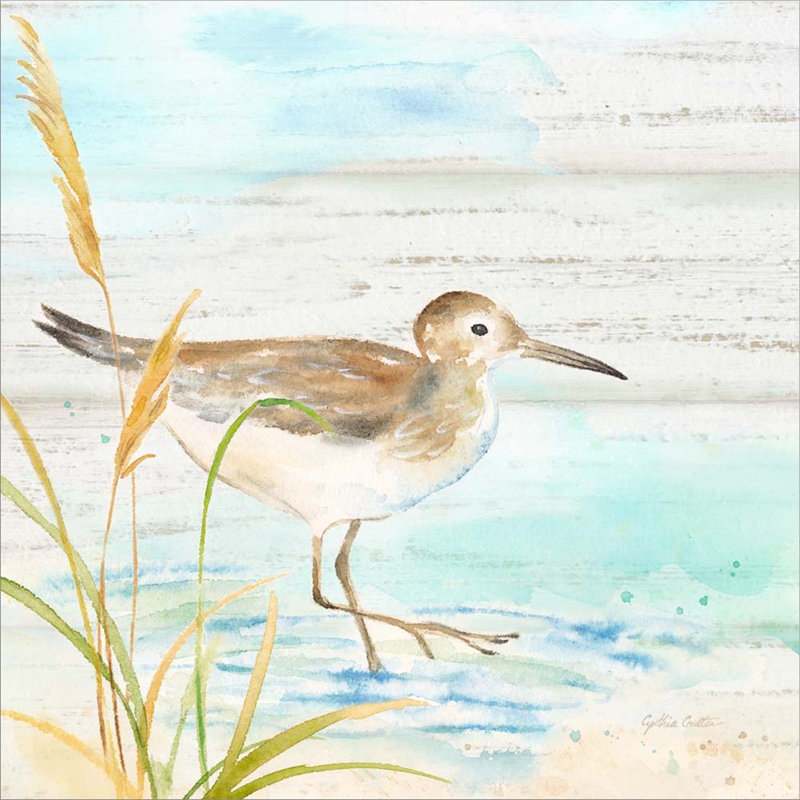 «Sandpiper Beach I» par Cynthia Coulter, art mural encadré