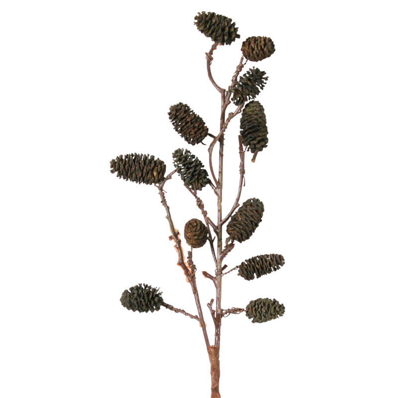Seaside Alder Arrangement
