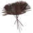 Dark Brown selected