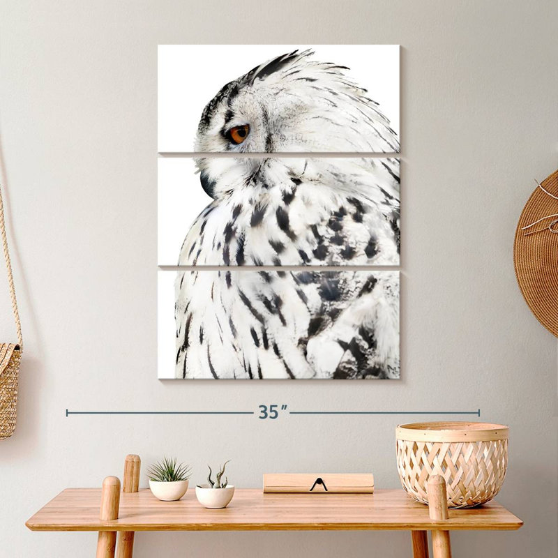 Chouette effraie blanche sur toile, 3 pièces, H 32 po x l 20 po