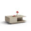 Theresa Coffee Table with Storage-34114482