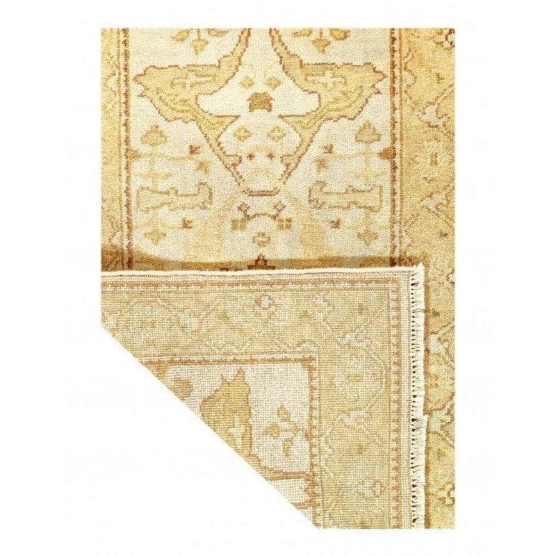 Pasquince Oriental Area Rug in Ivory