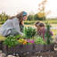Jardinières surélevées, jardinières pour plantes avec bouchons de drainage pour légumes, herbes, plantes, racines profondes, brun