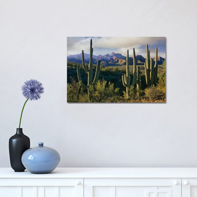 Saguaro Cacti and Santa Catalina Mountains, Arizona 1 Piece Wrapped Canvas Wall Art
