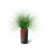 Granit rouge
