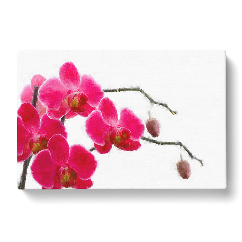 Hot Pink Orchids - Wrapped Canvas Print, 60cm H x 91cm W x 3cm D