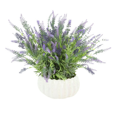 Lavande dans un vase décoratif en céramique