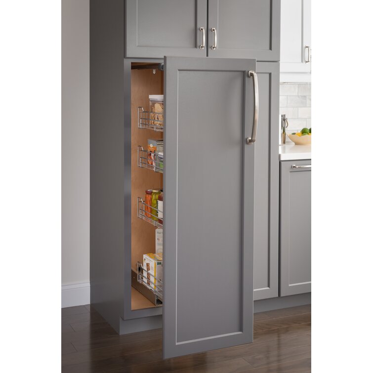 https://assets.wfcdn.com/im/58560012/resize-h755-w755%5Ecompr-r85/7556/75565757/Steel+Pull+Out+Pantry.jpg