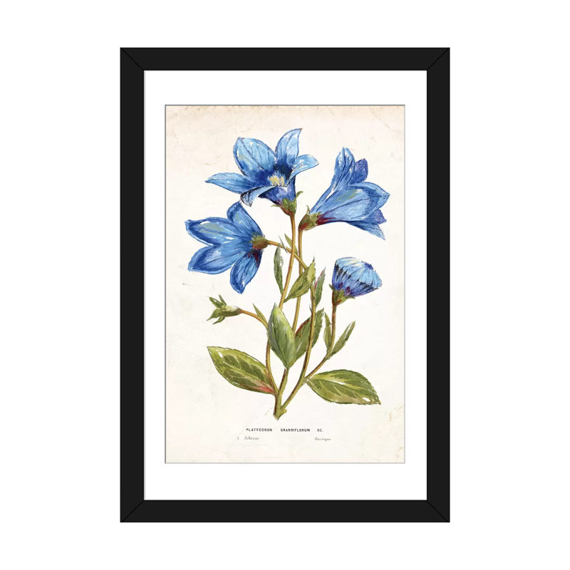 « blue impression », impression sur toile, H 24 po x l 16 po x P 1 po, Papier d'art encadré noir, Blanc