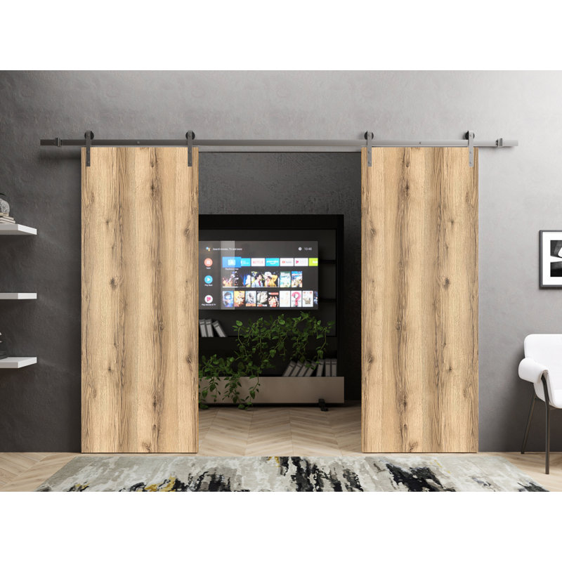 Portes de grange coulissantes doubles avec quincaillerie | Planum 0010 | Ensemble de 13 cintres robustes | Porte de salle de bain moderne à panneau solide