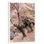 Cherry Blossom Lane by Monte Nagler - Print on Canvas-42161534-89229953