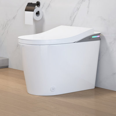 Elongated Smart Toilet with Bidet, Auto Open/Close Lid & Seat, Heated Seat, Warm Air Dryer, Touchless Flush, Night Light & Remote