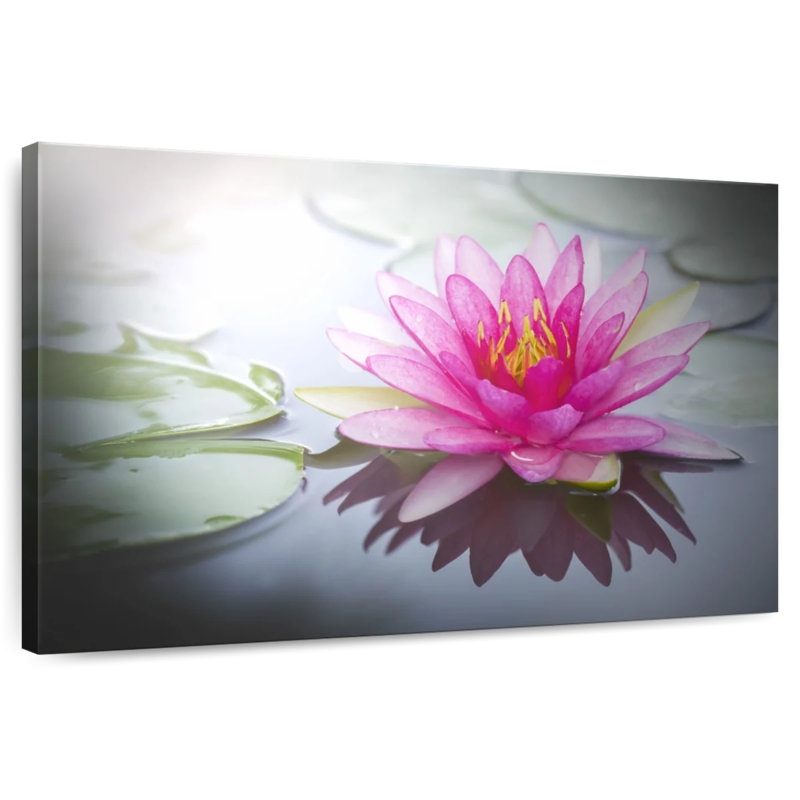 Harnek Beaming Pink Lotus