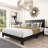 Litta Upholstered Platform Bed-165005748-165005755