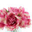 Lush Peony Bouquet