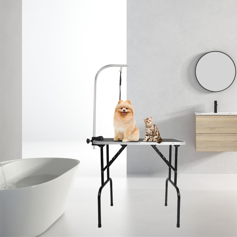 Table de toilettage pliable pour animaux avec bras réglable