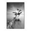 « water tree v » par moises perception-reproduction de photo-49905323-49905322