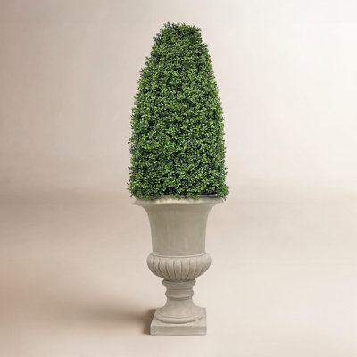 69" Boxwood Topiary in Urn