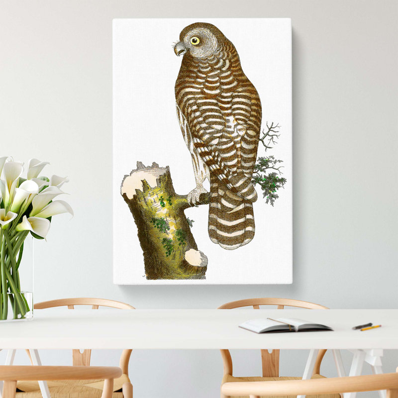 Clouded Owl by George Shaw - Wrapped Canvas, 50cm H x 35cm W x 3cm D