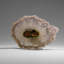 Quartz Stalactite Slice From Uruguay (76 Grams)