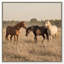 Peaceful Freedom Print by Oliver Gal-772204010-772204008
