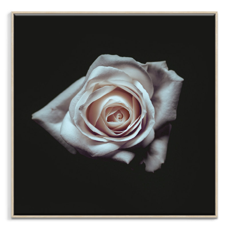 Print on Canvas, 102cm H x 102cm W, Wrapped Canvas