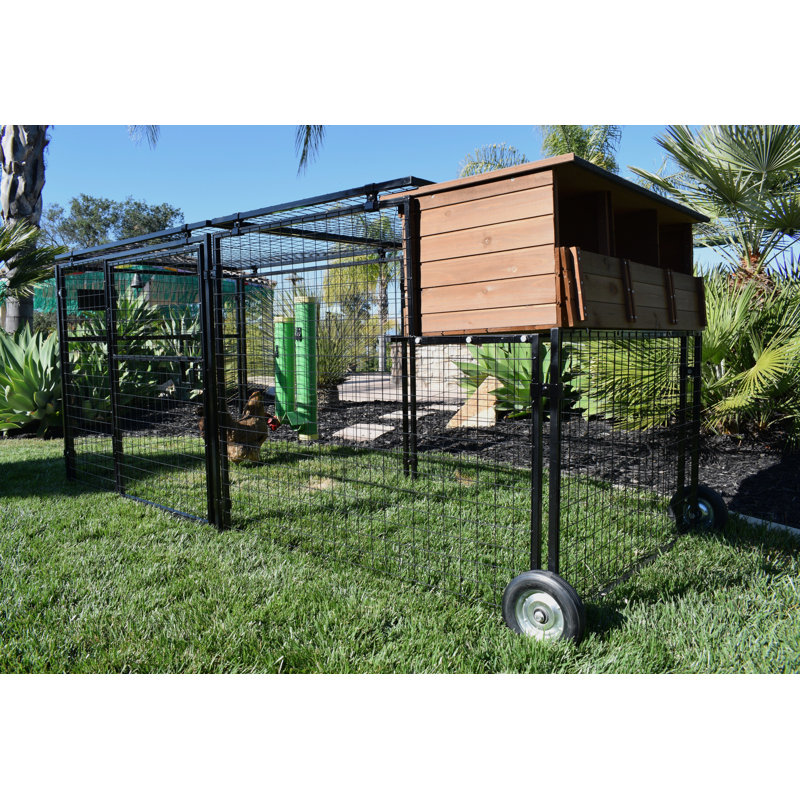 Polk 12.3 Square Feet Chicken Coop with Chicken Run For Up To 4 Chickens