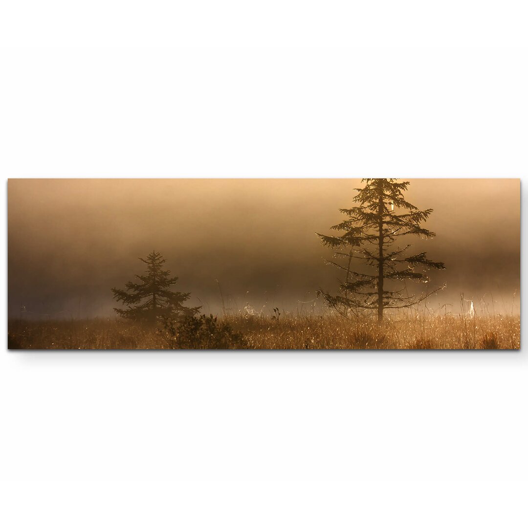 Leinwandbild Tannenbaum im Moor bei Nebel