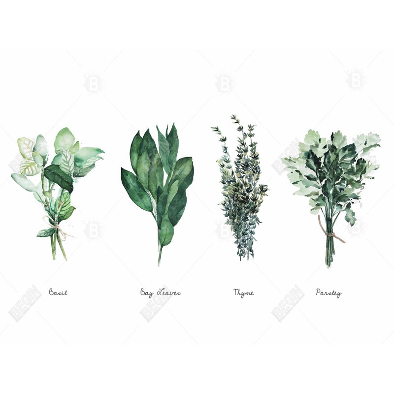 Fine Herbs Print On Canvas