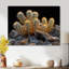Cactus jaune, jaune, noir, coucher de soleil, cactus floral, salon-199713825-199713832