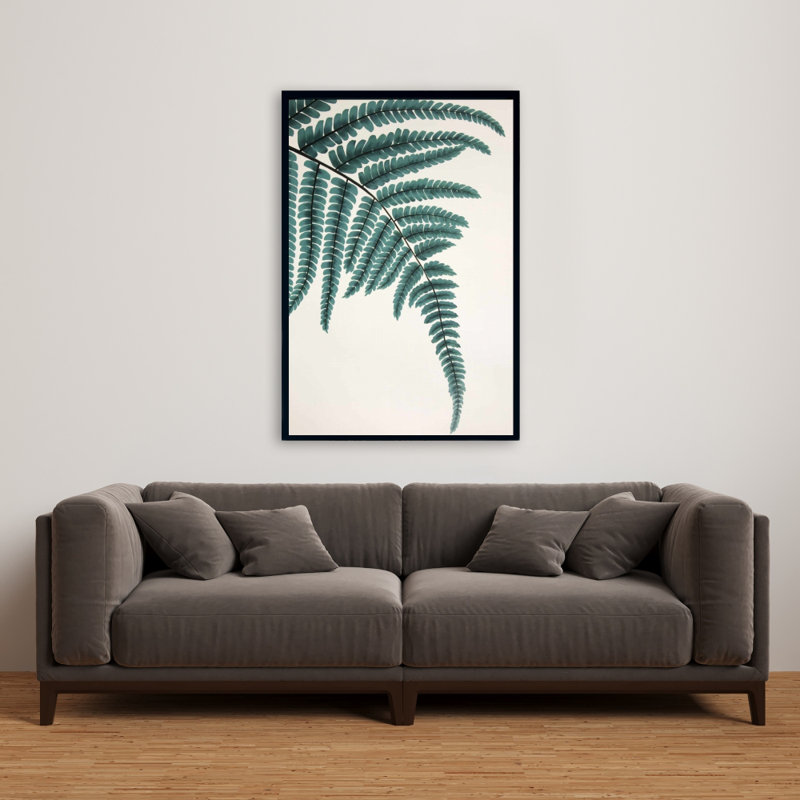 " Fern "