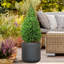 Black Concrete Effect Frostproof Outdoor Plant Pot, Garden Flower Pot, Cylinder Round Garden Planter with Drainage Holes, Outdoor Planter with Ribbed Pattern-1345823578