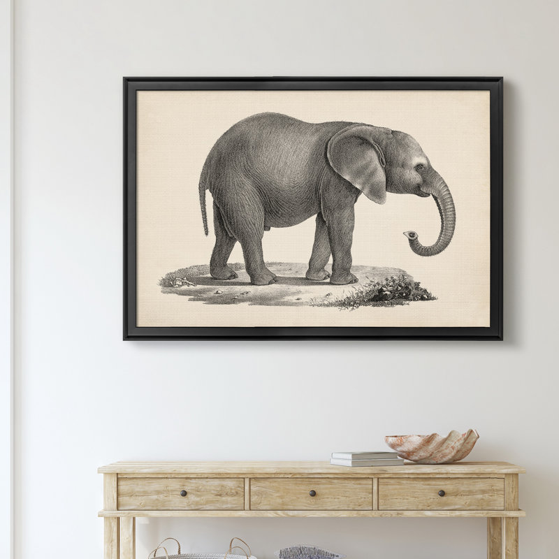 Brodtmann, jeune éléphant, cadre photo, reproduction d'art sur toile, H 26,5 po x l 36,5 po x P 1,5 po, Noir