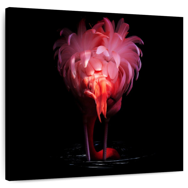 Queue de flamant rose Brampt, H 16 po x l 16 po