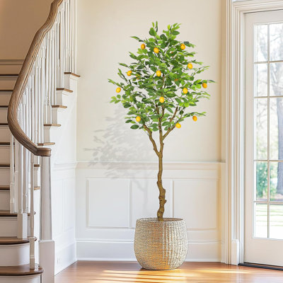 Plant