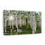 Aspen Forest Sunburst sur toile-177069419
