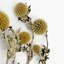 Bundle of 4 Dried Preserved Ageratum Blue Planet Flower Bouquet 21"