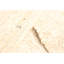 Tapis brun clair Sienna 5 pi 1 po x 7 pi 11 po