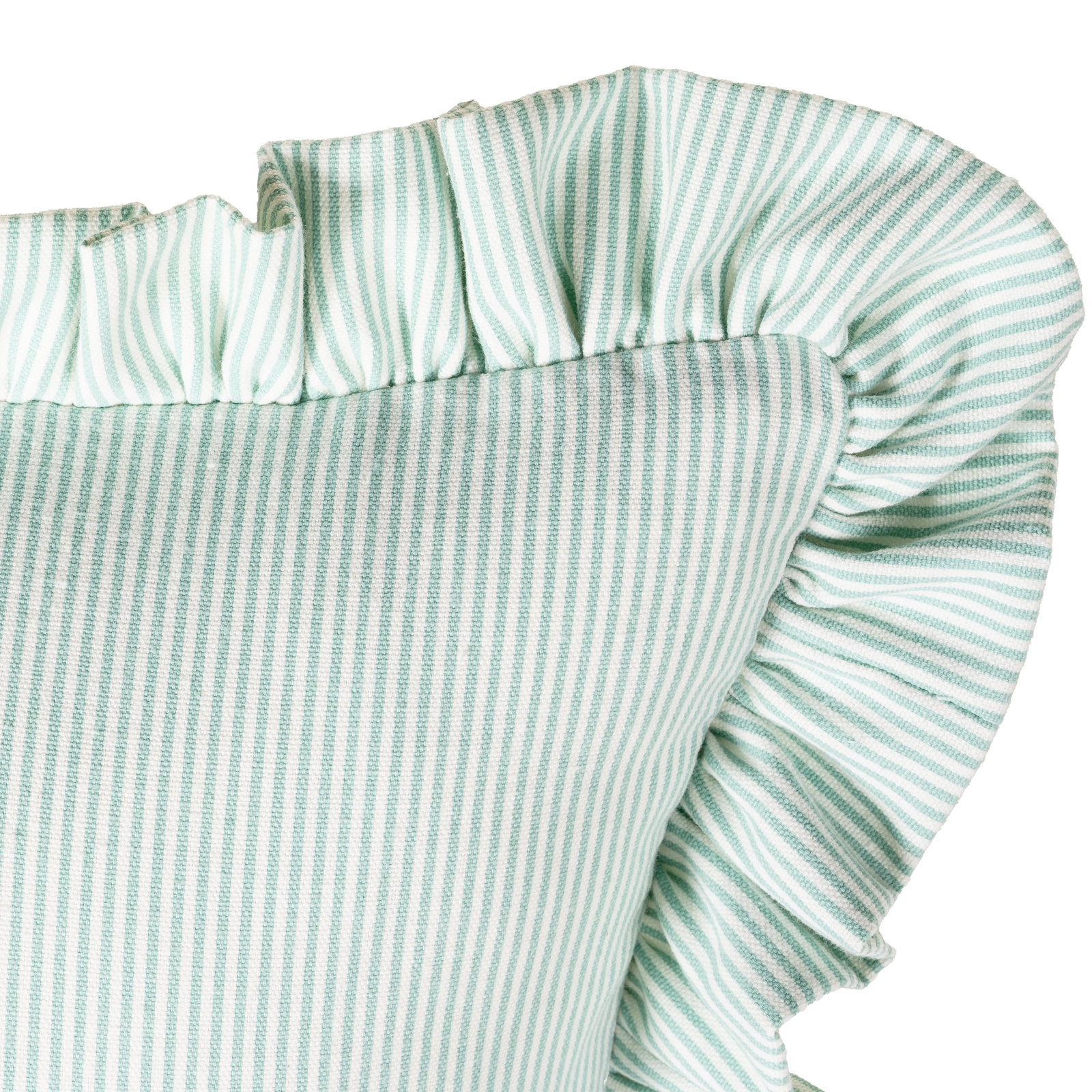 20" x 20" Cotton Throw Pillow, Green, Feather