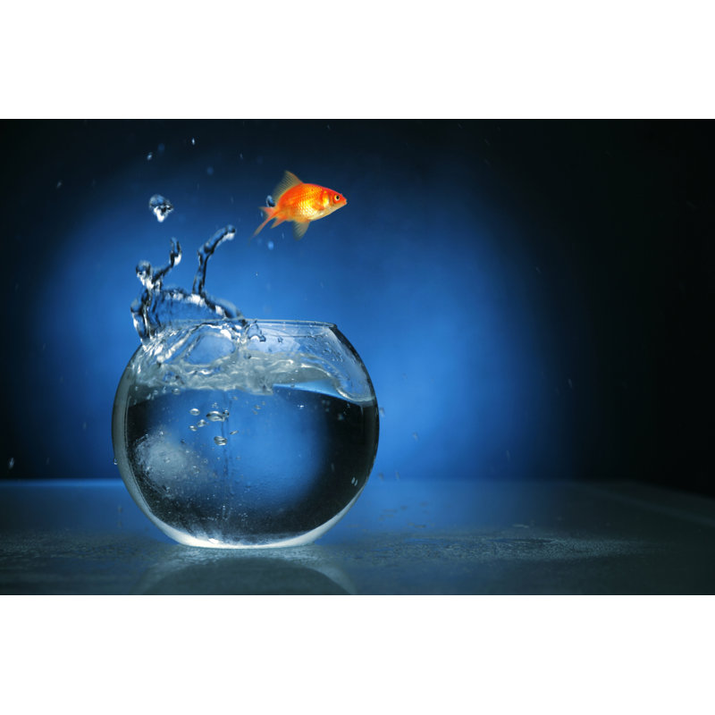 Poisson rouge sautant avec lumière bleue par Lisegagne, H 32 po x l 48 po