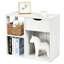 Karruan Frame End Table