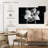 Harnek Magnolia In Bloom II-108104833