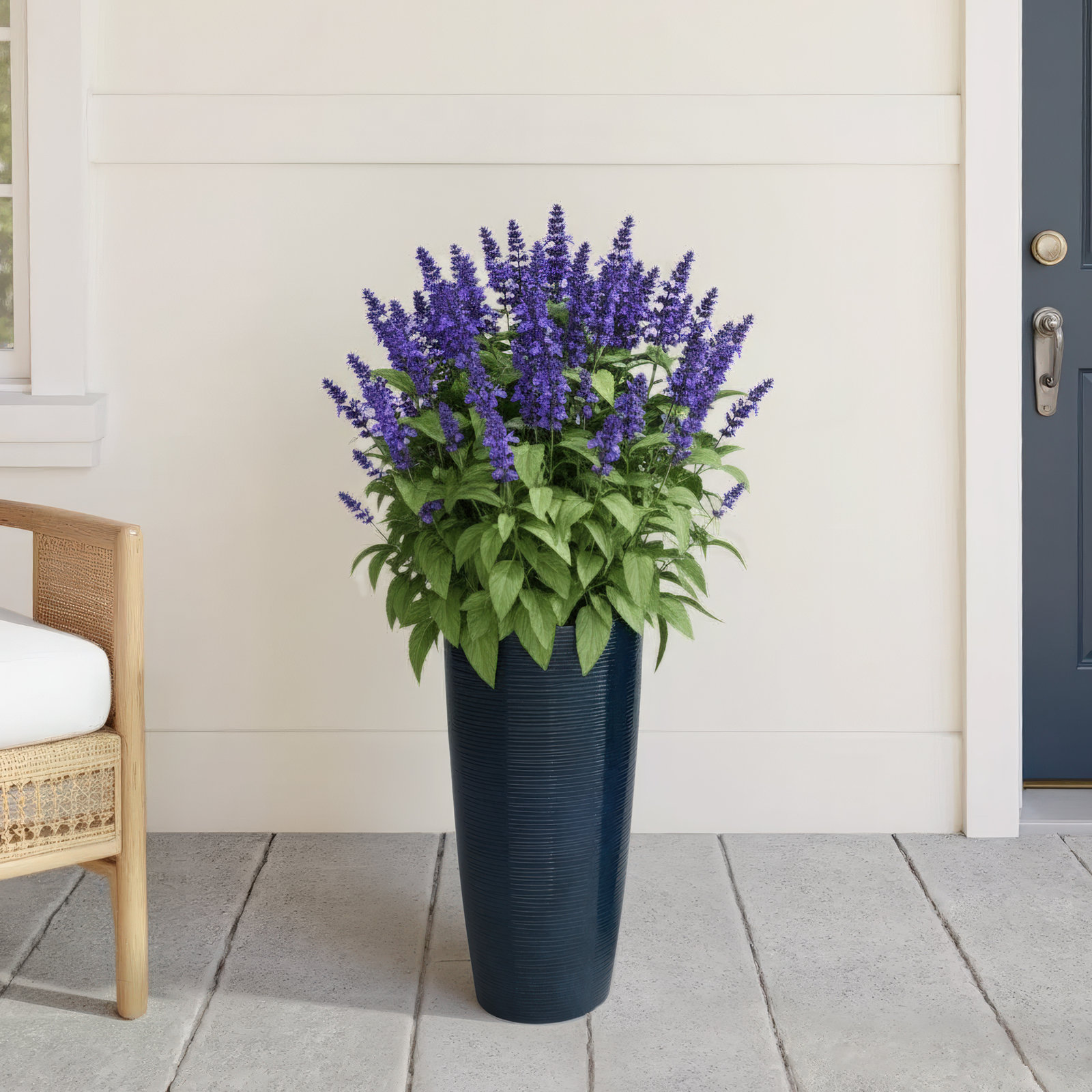 Khadiga 12" Pot Planter