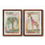 " Elephant Montage " 2 - Pieces-1370356178-1370356179-1370356176