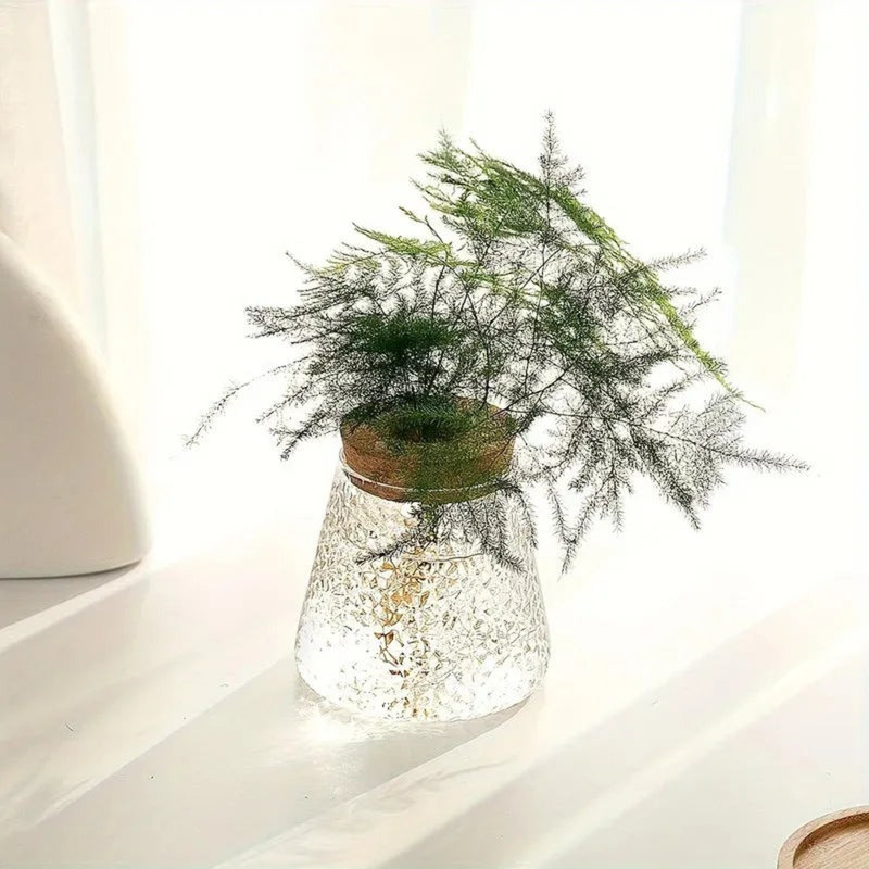 Station de propagation en verre avec support à plantes