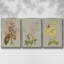 Botanical Array II - ensemble de 3 reproductions de photo sur toile-116332101-116332102