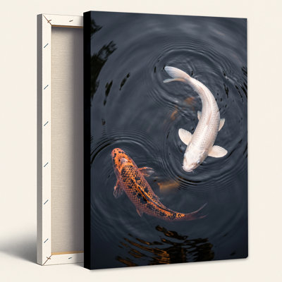 Orange and White Koi Fish Swimming in Dark Water Canvas Wall Art